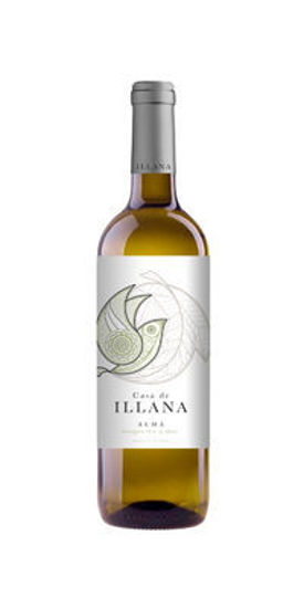 Picture of ALMA DE ILLANA